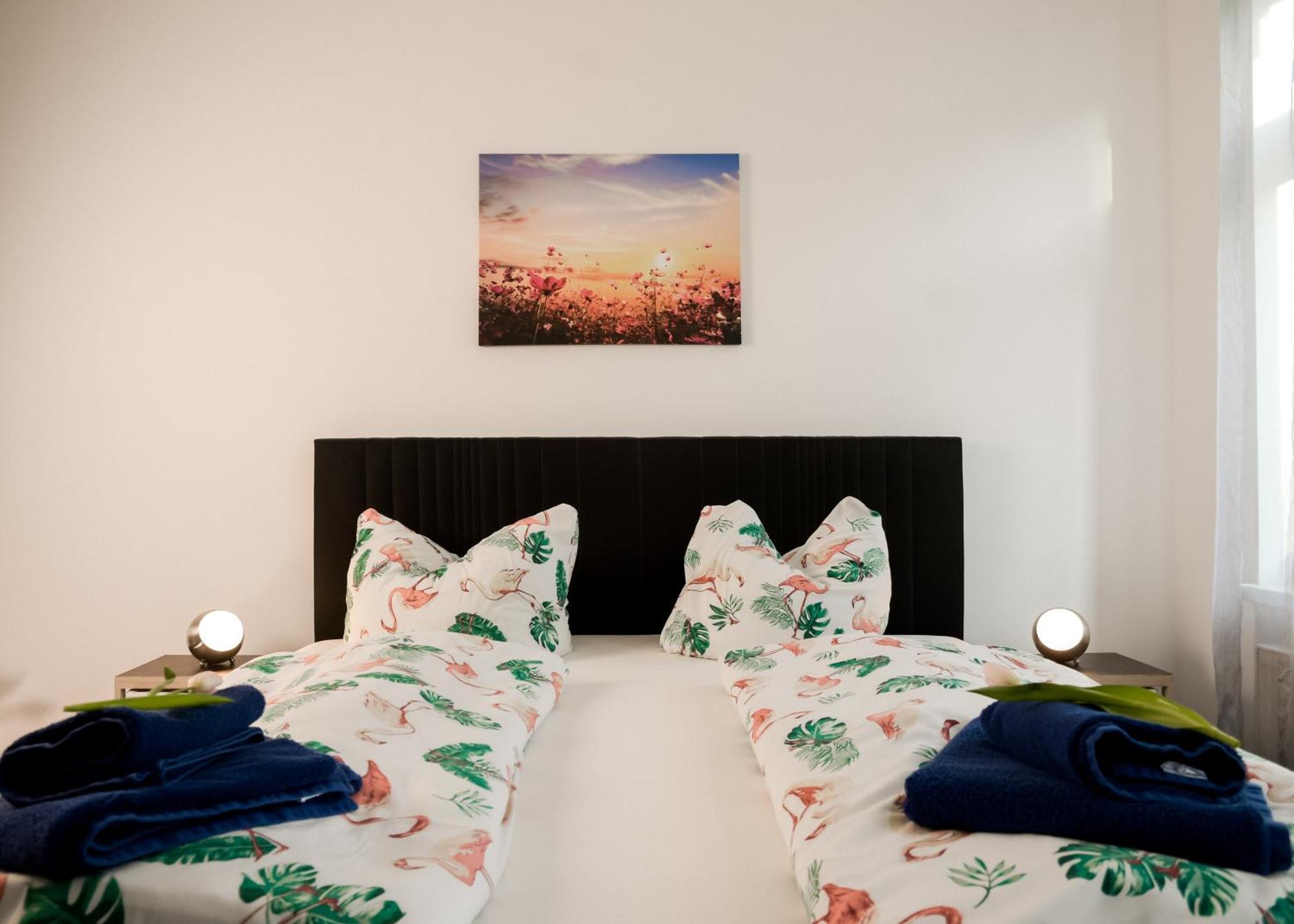 Apartmenthaus Sternstrasse 드레스덴 외부 사진